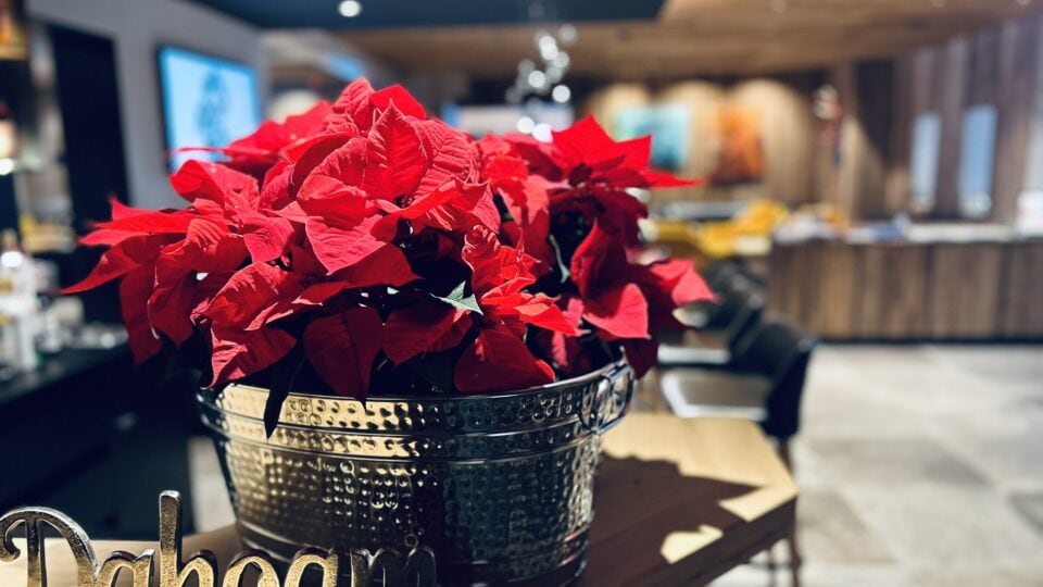 Romantische Adventzeit