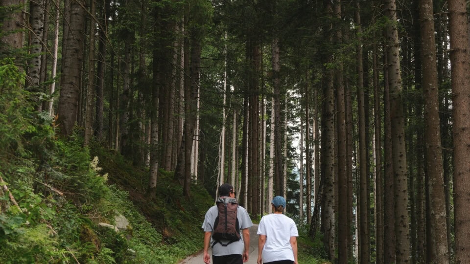 Wandern & Wellness